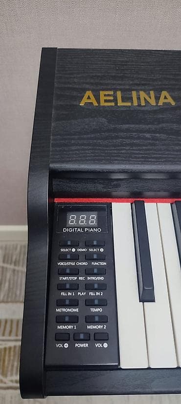 Музыкалык аспаптар: Цифровое пианино AELINA - Полноразмерная клавиатура 88 клавиш с — 2
