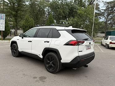 рафия: Toyota RAV4: 2019 г., 2.5 л, Вариатор, Гибрид, Кроссовер — 10