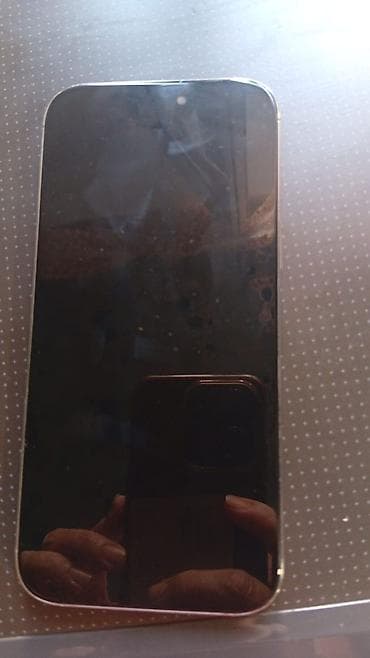 часы зама цена: Смартфон Apple iPhone (серия Pro) в серебристом цвете. Ключевые — 6