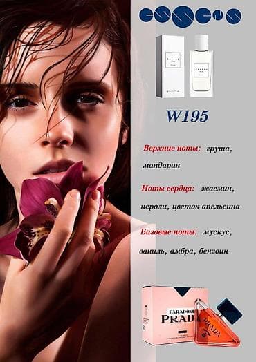 Жеке буюмдар: Ароматы ESSENS (линейка W) W203 - Пирамида: верхние ноты — ягоды — 3