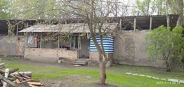 купить сорокатонник: Участок сатылат 35сотых 2ком времянкасы менен баня Жана мал бакканга — 9