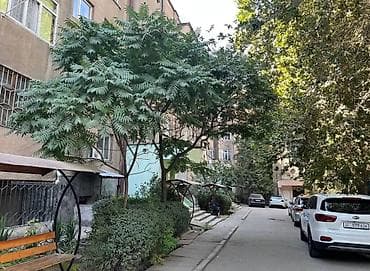 3х: 3 комнаты, 63 м², 1 этаж — 9