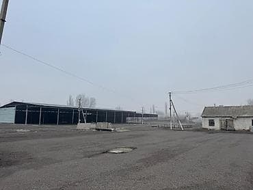 участков: 800 соток, Красная книга — 8