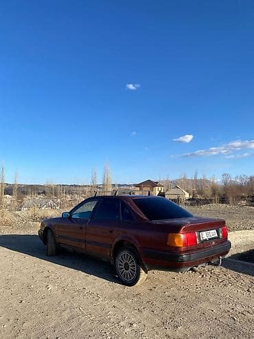 Audi 100: 1992 г., Автомат, Седан — 3