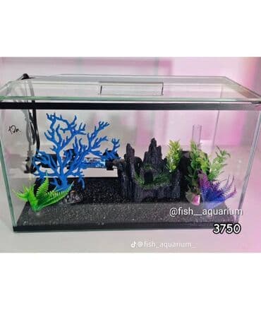 подарок девушке на новый год бишкек: Идеи для подарка на новый год. Комплекты с дизайном и оборудованием — 5