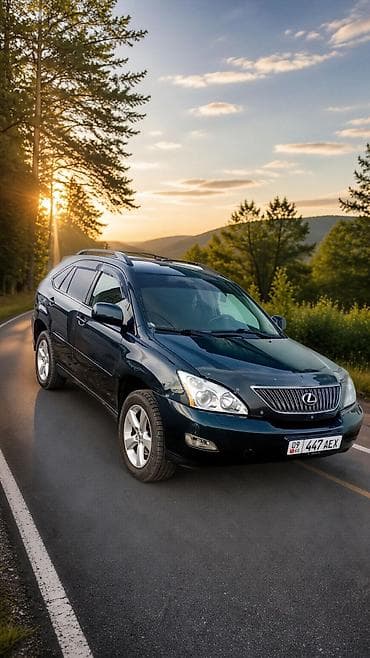Lexus RX: 2003 г., 3.3 л, Автомат, Бензин, Кроссовер — 2