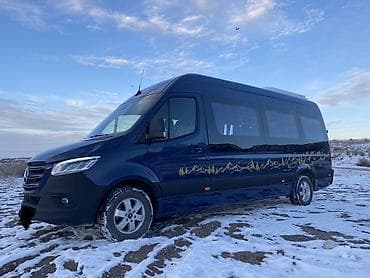 ленивец на даф: Пассажирский микроавтобус Mercedes‑Benz Sprinter 315 CDI (сине‑темный — 9