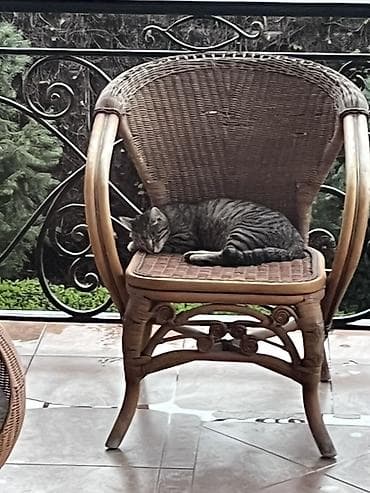 ротанговое кресло качалка: Стул для зала, Другой тип — 1