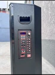 Микрофоны: Продаю калонку с встроенным усилителем и 2 микрафонами работает — 2