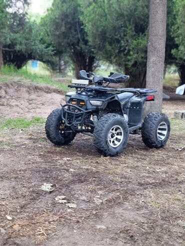 бакту долонотуу: Квадроцикл Бензин, 160 куб. см, Взрослый — 2
