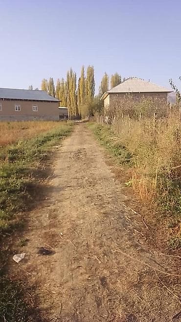 массаж западный: 4 соток, Для строительства, Красная книга — 2