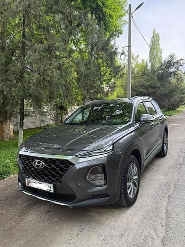 химия авто: Hyundai Santa Fe: 2019 г., 2 л, Автомат, Бензин, Кроссовер — 1