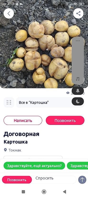 Картошка Оптом — 3