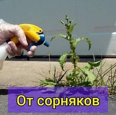 🌿 Обработка участка от сорняка!