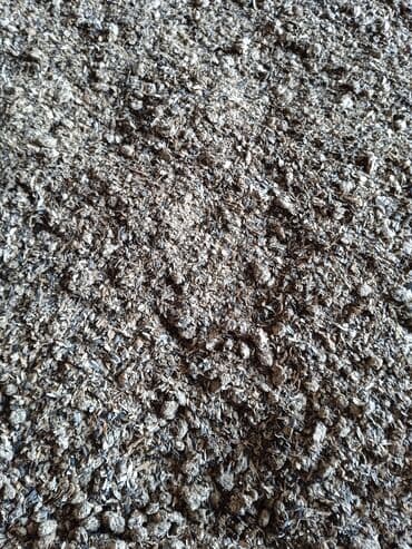 собаки рынок в бишкеке цены: Продаю рыбную муку два вида Российская и Казахстанская подсолнечный — 7