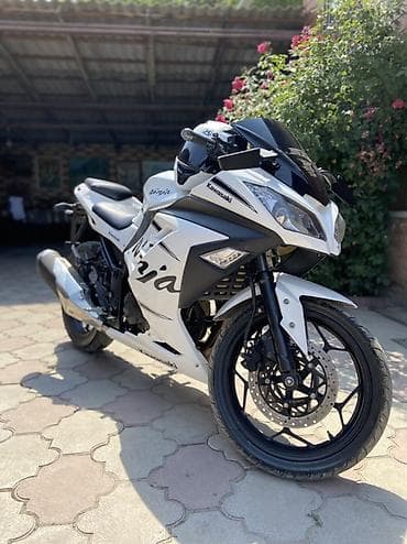 Спортбайк Kawasaki, 250 куб. см, Бензин, Взрослый, Б/у — 2