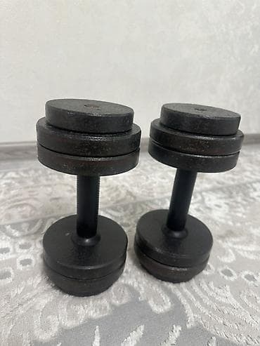 гантелей: Пара разборных гантелей из металла. Рукоятка из резины хорошое — 2