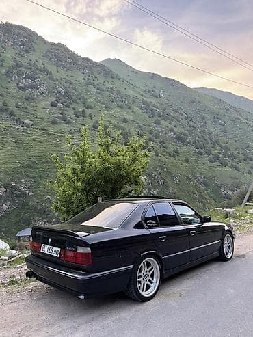 ручка е34: BMW 5 series: 1992 г., 2.5 л, Механика, Бензин, Седан — 3
