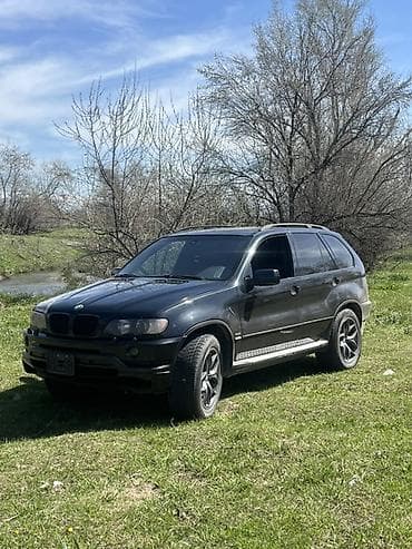 mersedes e211: BMW X5: 2002 г., 4.4 л, Типтроник, Бензин, Кроссовер — 7