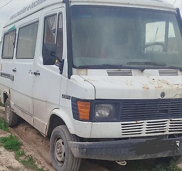 коллектор спринтер: Mercedes-Benz 220: 1992 г., 0.3 л, Ручные, Дизель, Бус — 1