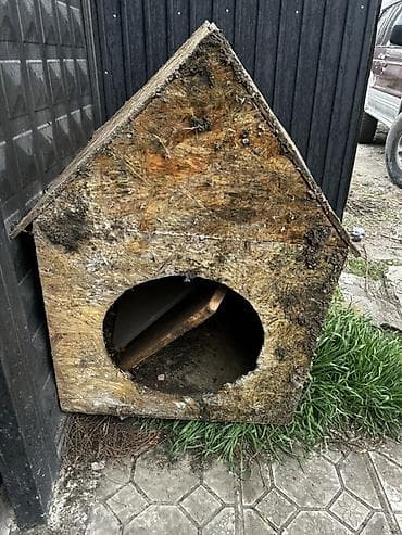 лесо: Отдам даром будку для собаки Отдаю бесплатно будку. Требует чистки и — 1