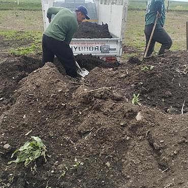 навоз портер: Заказать Хендай портер, Перевозка мебели, C грузчиком — 4