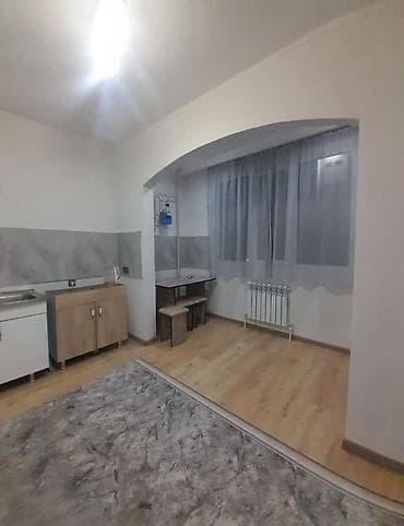 5: 1 комната, 43 м², Киргизия 1 Элитка, 5 этаж, Евроремонт — 10