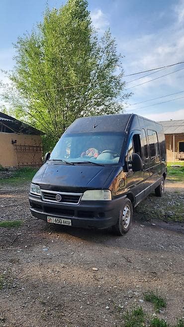 2 2 сди: Fiat Ducato: 2010 г., 2.3 л, Механика, Дизель, Фургон — 1