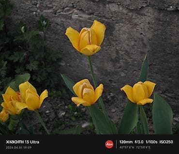 xiaomi poco f6 pro: Xiaomi, 13 Ultra, 256 ГБ, цвет - Черный — 4