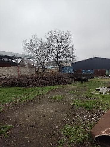 Жер тилкелерин сатуу: 8 соток, Курулуш, Кызыл китеп — 3