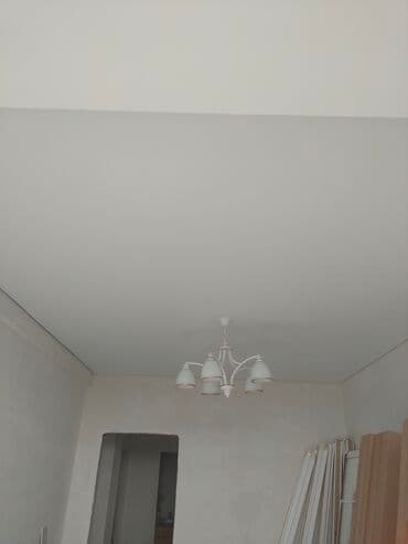 фикус большой: Натяжной потолок Глянцевое, Матовое, 3D потолки Гарантия, Бесплатная консультация, Бесплатный замер — 18