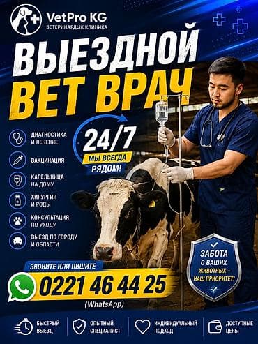 овец: Ветеринарная выездная служба для сельскохозяйственных животных — 1