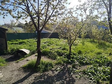 объект: Продаётся жилой дом с участком Село Беш-Кунгей 5 сотых Описание — 6