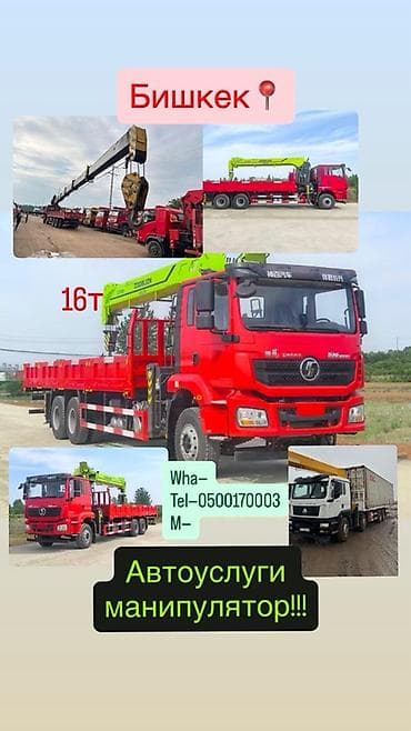 Жаанын 20 м, 16 т., Борттун 25 кг