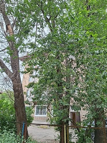 кв кирком: 1 комната, 29 м², Индивидуалка, 3 этаж, Старый ремонт — 1