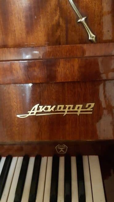 велик на титановых дисках: Фортепиано «Аккорд-2» (вертикальное, СССР) - Тип: пианино (upright) — 4