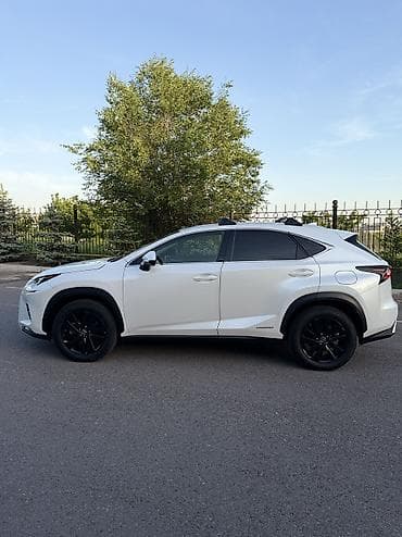 Lexus NX: 2021 г., 2.5 л, Автомат, Гибрид, Внедорожник — 3