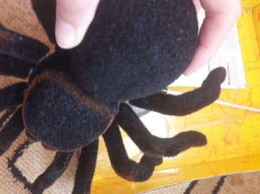 кукла домик: Продаю паук с пультуправлением новый "тарантул"как на фото — 5