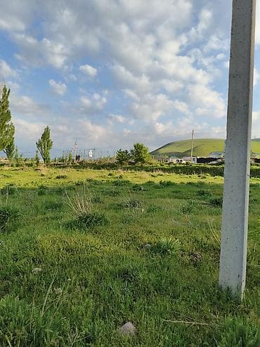 земля в беловодске: 5 соток, Красная книга — 4