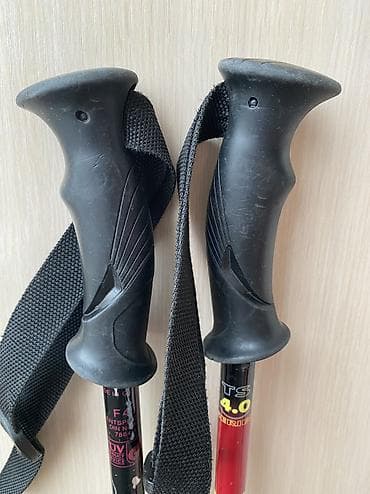 Лыжи: Универсальные, С креплениями, Б/у — 4
