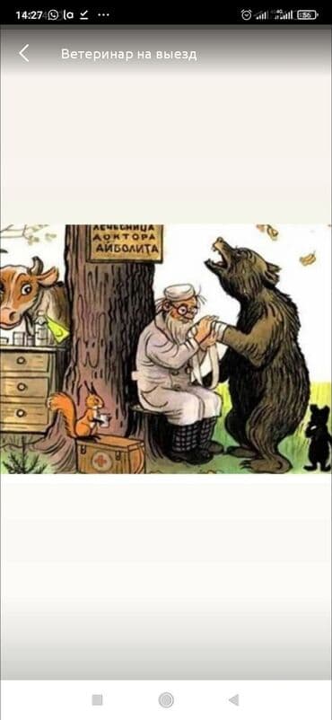 Грызуны: Ветеринар на выезд работаем со всеми видами животных. лечения до — 1