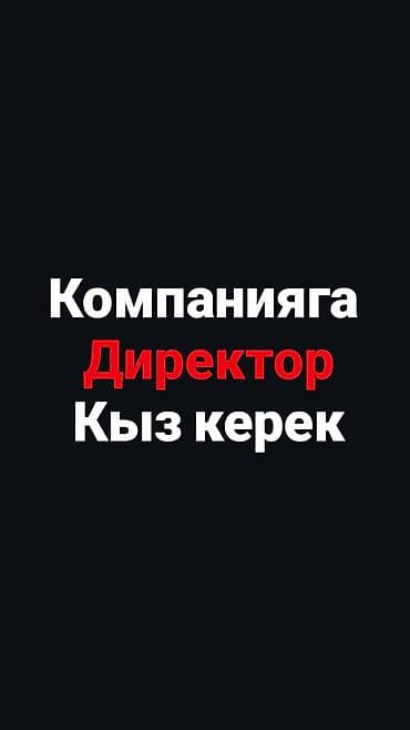 247: Помощник — 1
