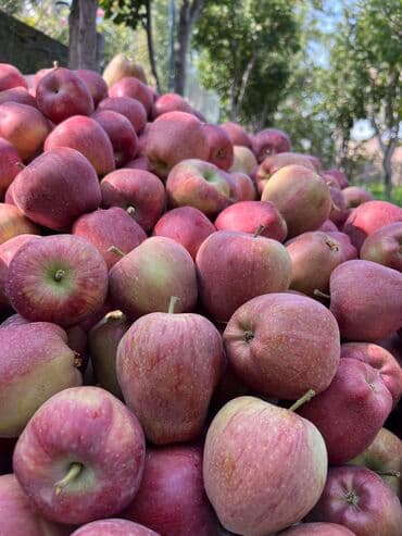 творожный сыр креметте цена бишкек: Алмалар Крипсон, Дүңүнөн — 2