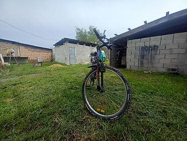 six flags: Горный велосипед с амортизацией - Рама: стальная — 4