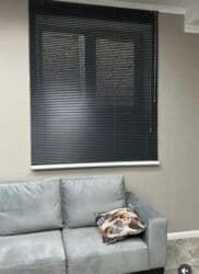 теплицы в бишкеке стоимость: Жалюзи ролл шторы баардык туру тузмо туз цехтен эн томон баалар.Есть — 25