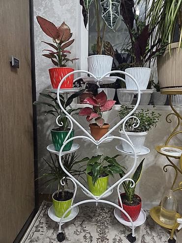 Полка, этажерка для цветов, Новый, Железо, Самовывоз