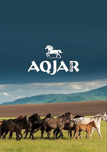 услуги охраны: Графический дизайнер — 8