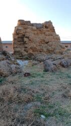 французский бульдог сколько стоит: Срочно Арпа саман сатылат оптом 4500шт баасы 220сомдон чалгыла — 2