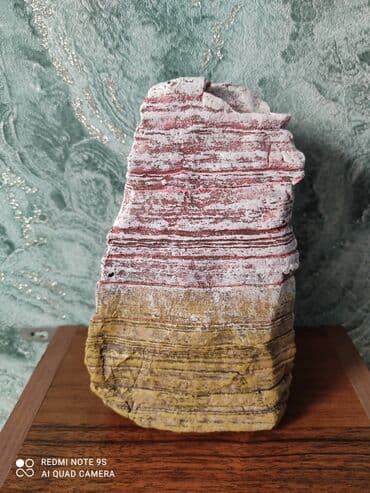 корм для кошек бишкек цена: Аквариум заводской, с крышкой 60 литров, со всеми комплектующими — 17