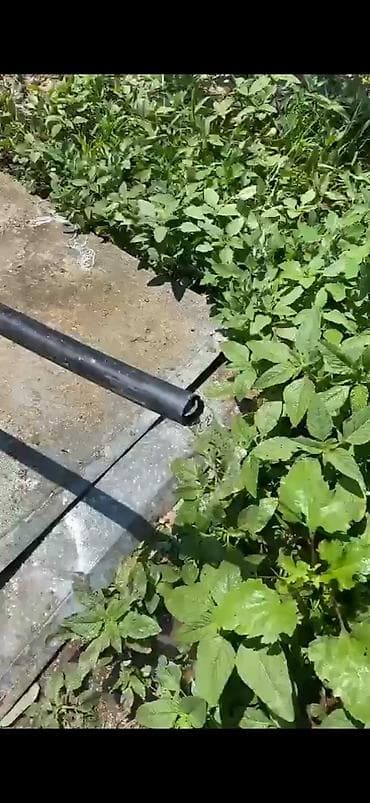 рус учёт: СУУ ЧЫГАРАБЫЗ — 6